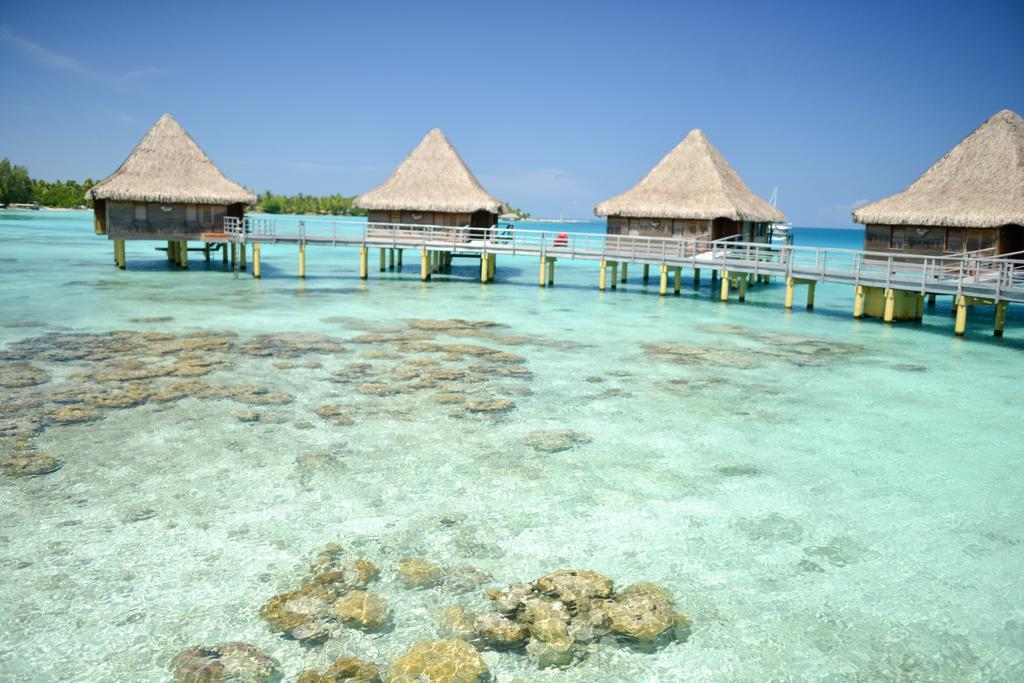 Hotel Kia Ora Resort&Spa Avatoru Zimmer foto